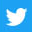 Twitter logo. Opens Twitter in a new tab.