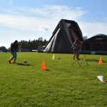 Falcon Fair photos