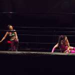 Smash Wrestling photos