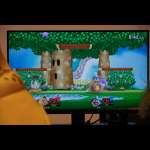 Smash Bros. photos