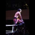Smash Wrestling photos