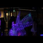 EDM Night photos