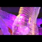 EDM Night photos