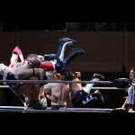 Smash Wrestling photos