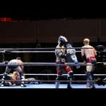 Smash Wrestling photos