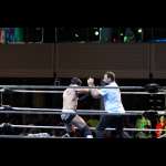 Smash Wrestling photos
