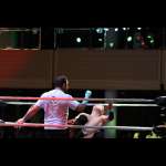 Smash Wrestling photos