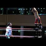 Smash Wrestling photos