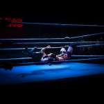 Smash Wrestling photos