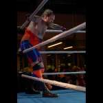 Smash Wrestling photos