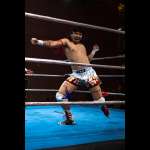 Smash Wrestling photos