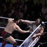 Smash Wrestling photos