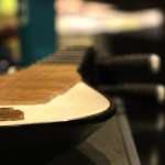 Lunar New Year Celebration photos