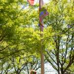 Progess Pride Flag Raising photos